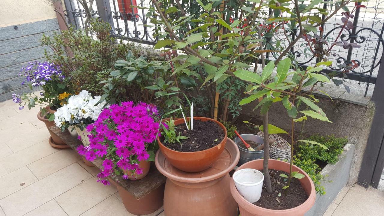 Monteceneri 9 B&B Rho Zewnętrze zdjęcie