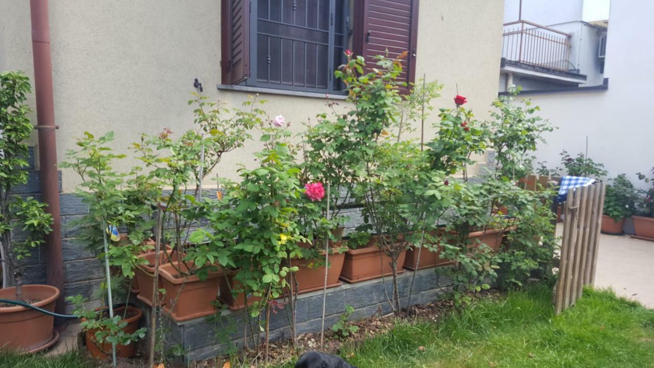 Monteceneri 9 B&B Rho Zewnętrze zdjęcie
