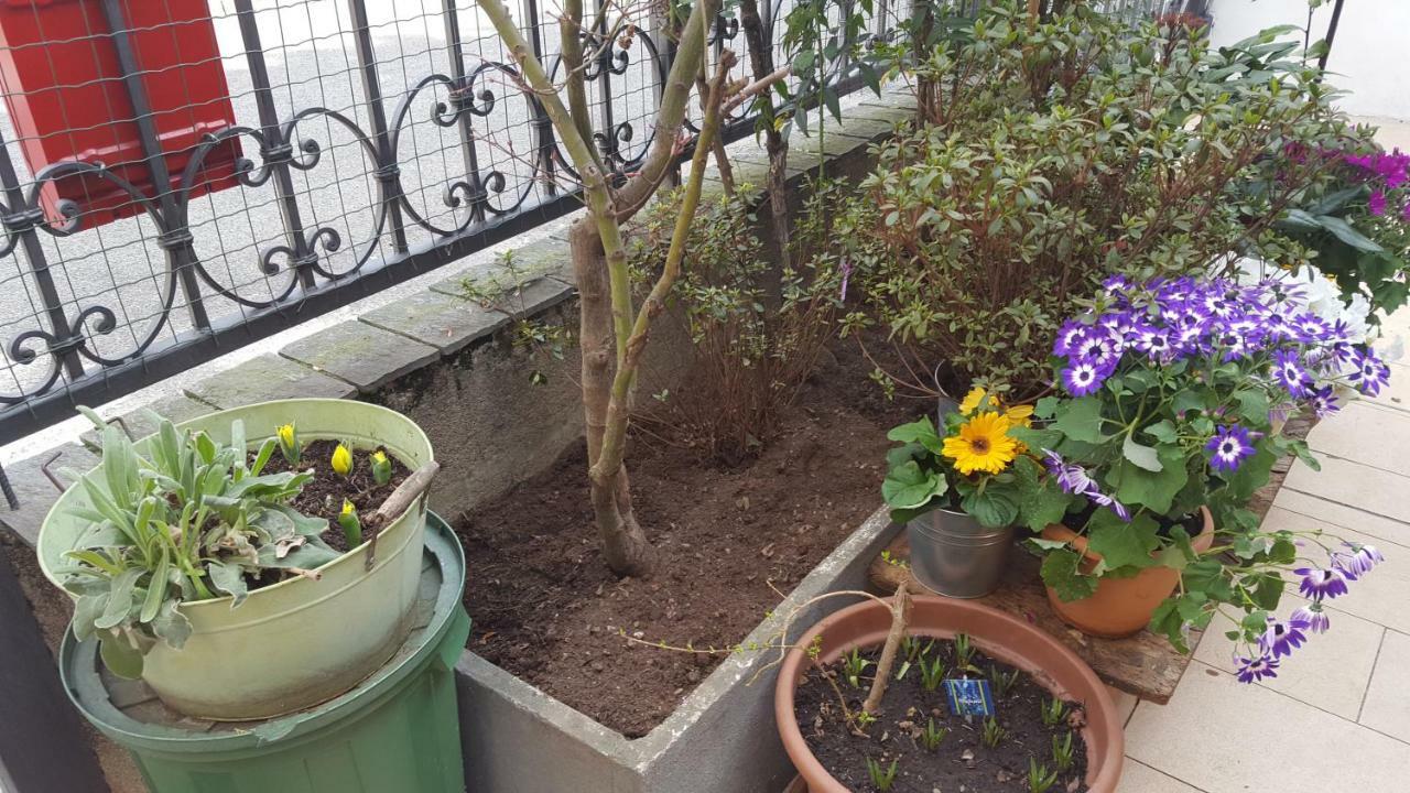 Monteceneri 9 B&B Rho Zewnętrze zdjęcie